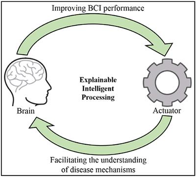 Editorial: Explainable and advanced intelligent processing in the brain-machine interaction